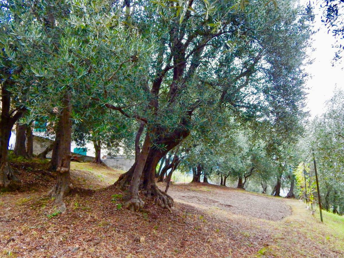 Le Giuee Gasthuis Genua